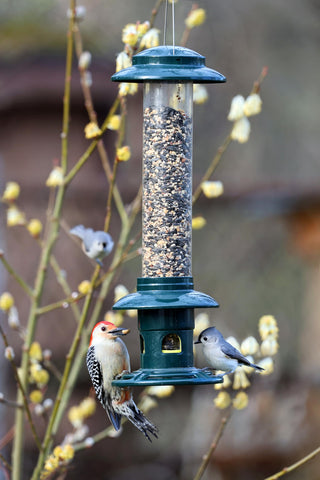 Brome Squirrel Buster Evolution 1.9-lb seed capacity reduces refills.