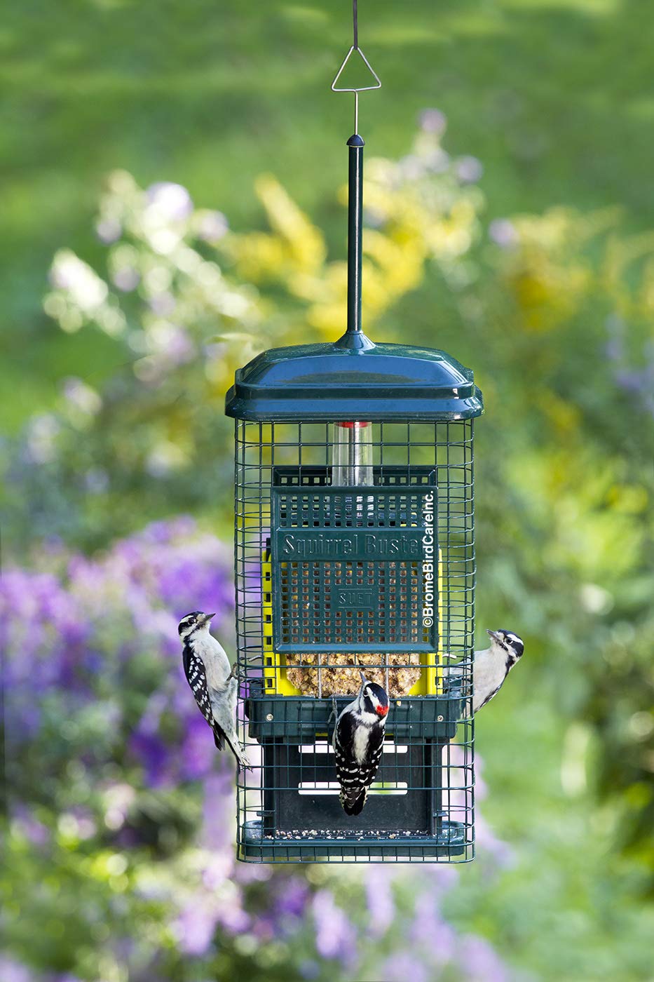 Brome Squirrel Buster green durable design for outdoor garden use