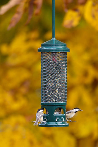 Brome Squirrel Buster Legacy, four metal perches invite multiple birds to visit at once.