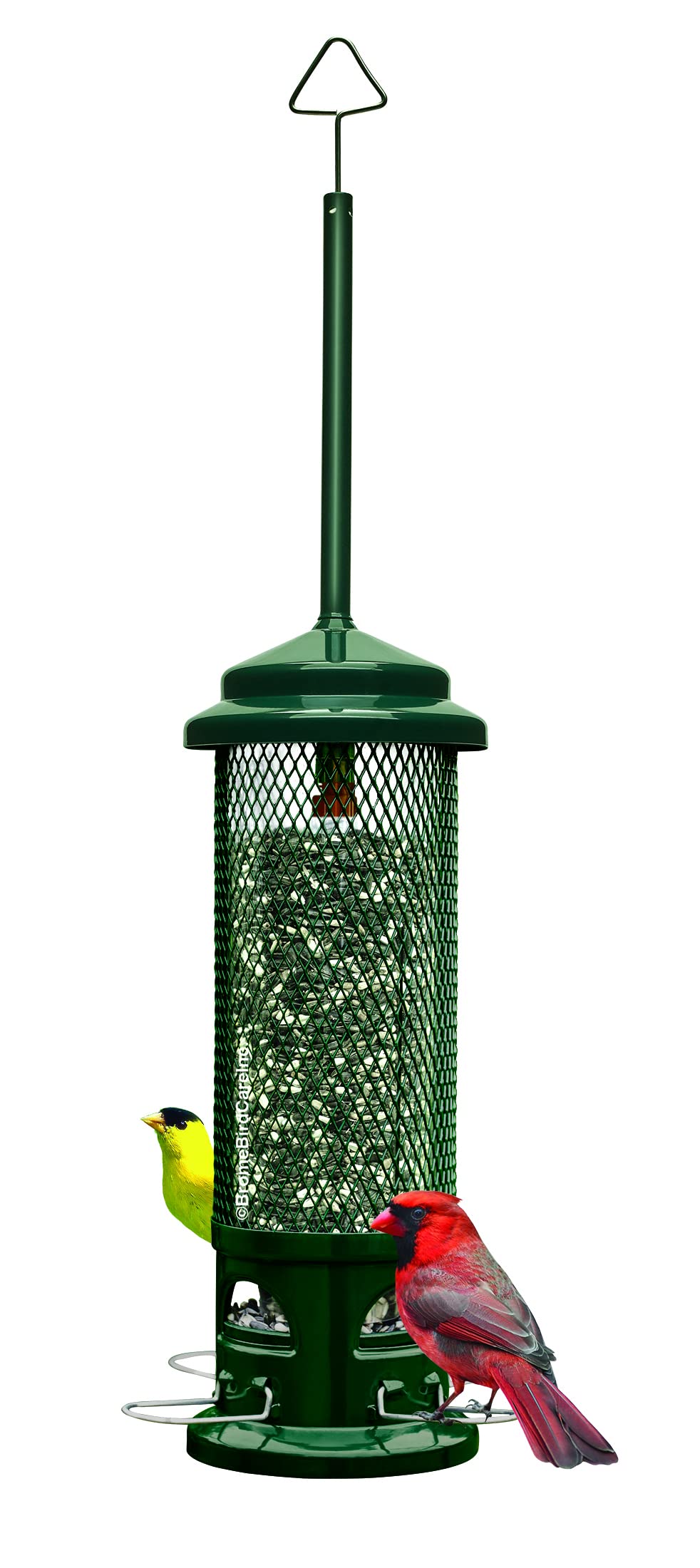 Brome Squirrel Buster Legacy feeder, front view, keeping seed safe from squirrels.