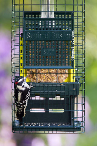 Brome Squirrel Buster mess-free loading area for clean filling