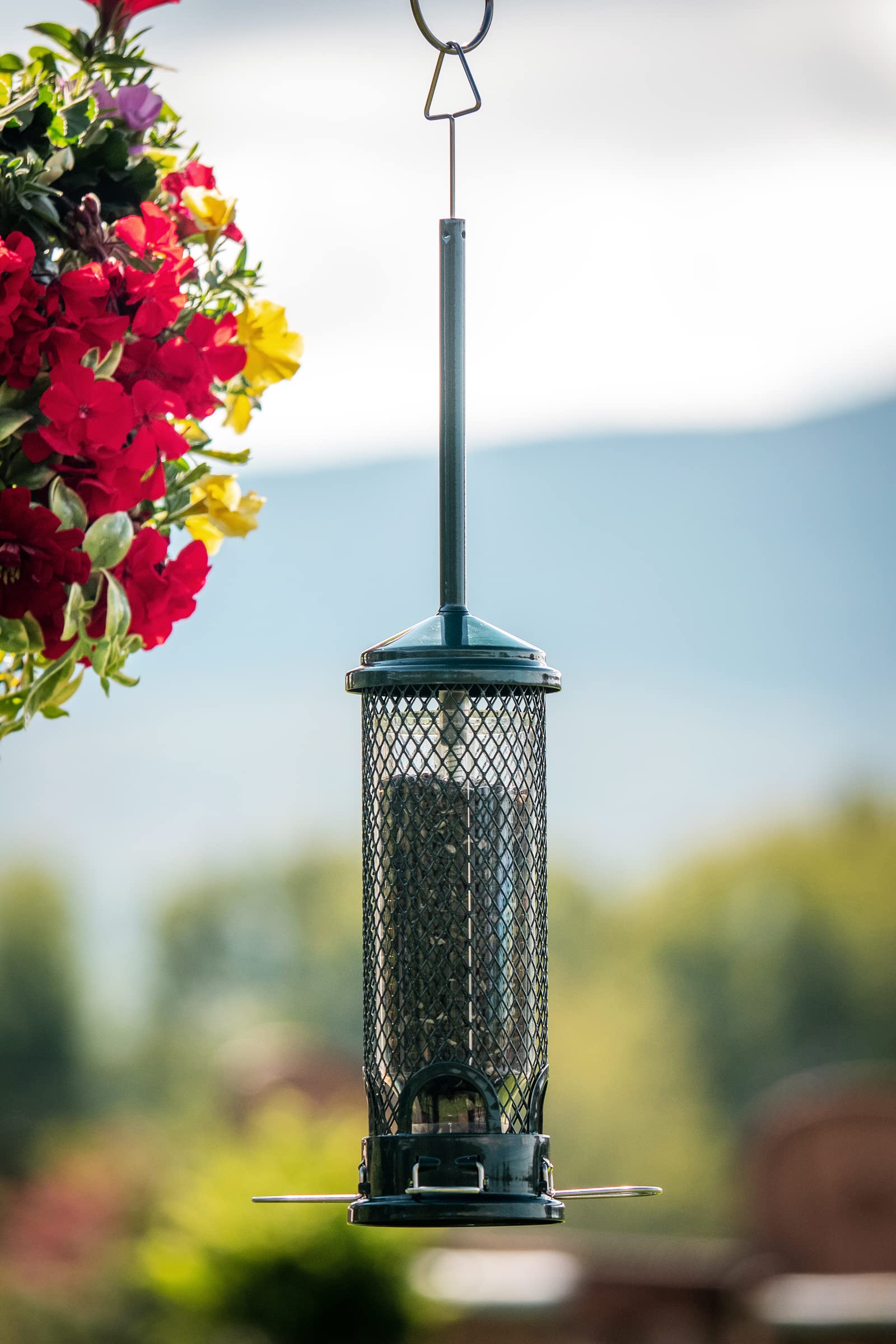 Brome Squirrel Buster Mini in use with diverse birds at feeder.