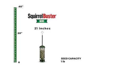Brome Squirrel Buster Mini shows four metal perches for varied perching birds.