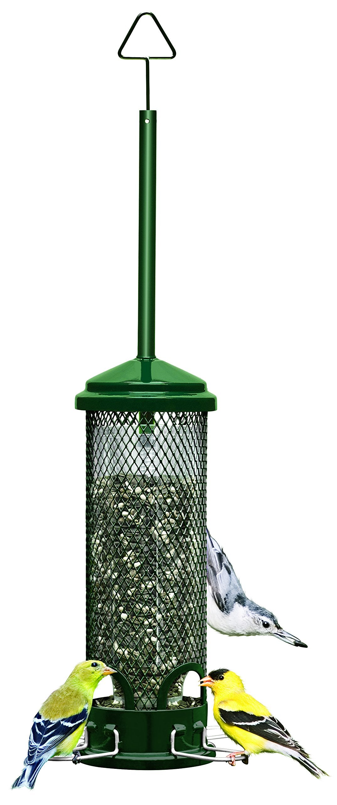 Brome Squirrel Buster Mini green feeder on a branch attracting small wild birds.