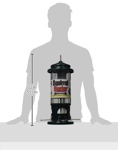 Brome Squirrel Buster Standard in a garden setting, showcases garden-green color.