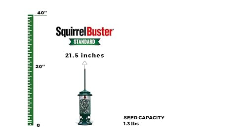 Brome Squirrel Buster Standard, close-up of weight-activated perches for selective feeding.