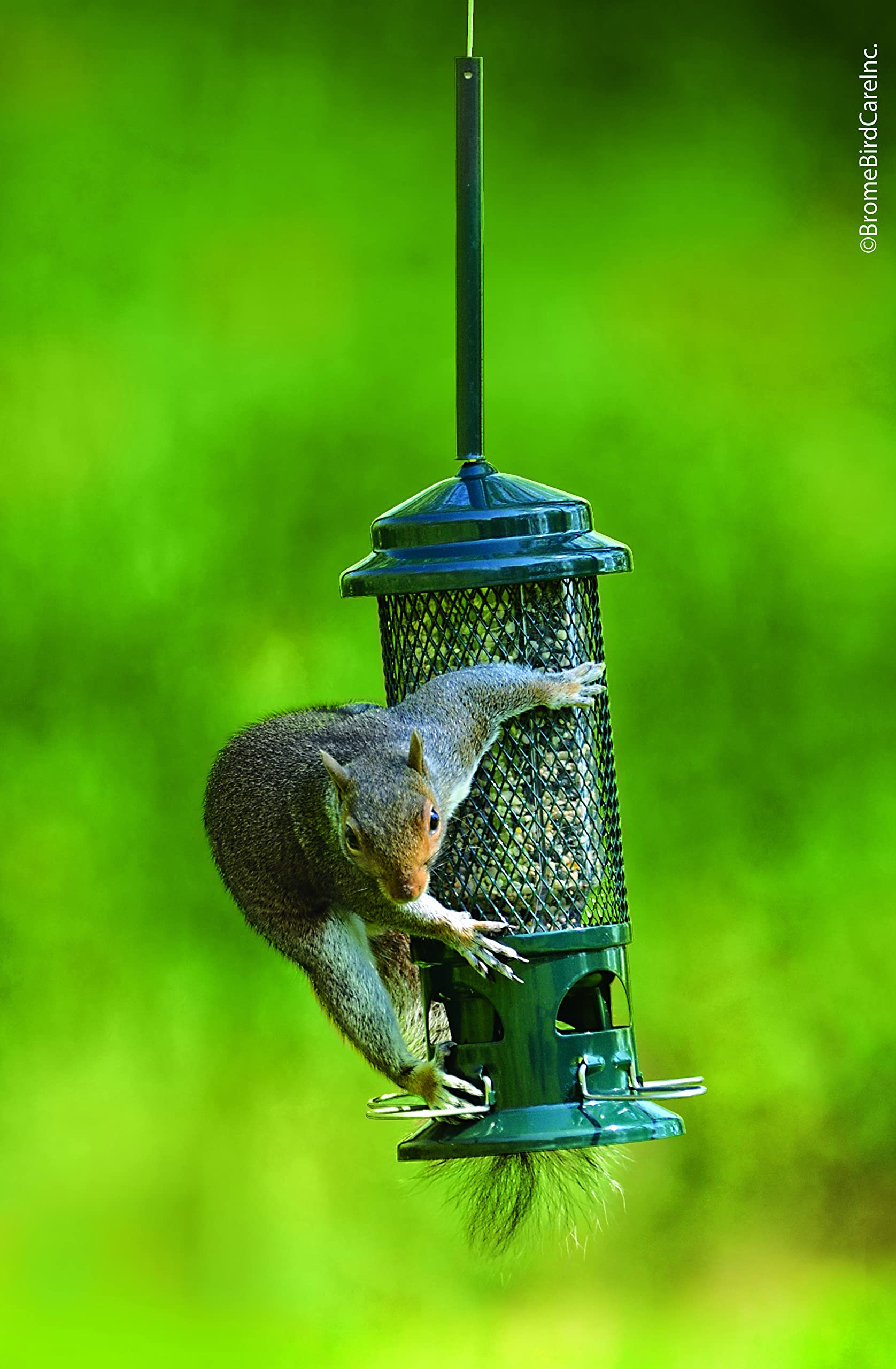 Brome Squirrel Buster Standard hanging option with attached hanger for easy setup.