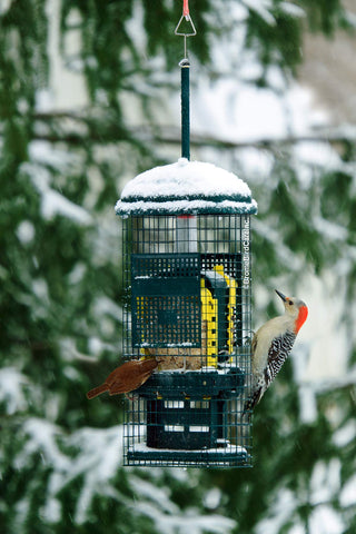Brome Squirrel Buster weight-adjustable spring controls feeding weight