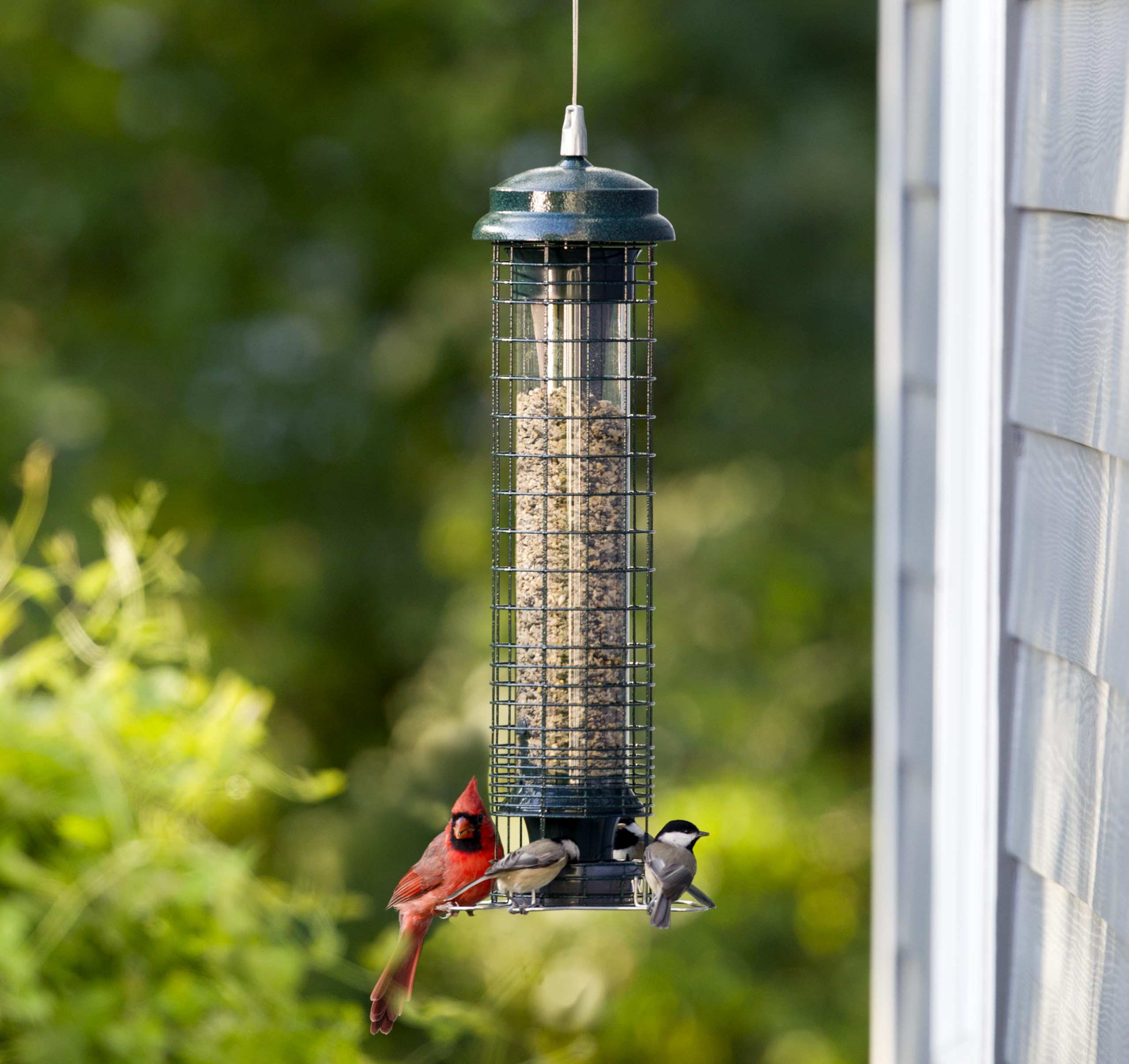 Brome Squirrel Solution 150 chew-proof components endure nibbling.