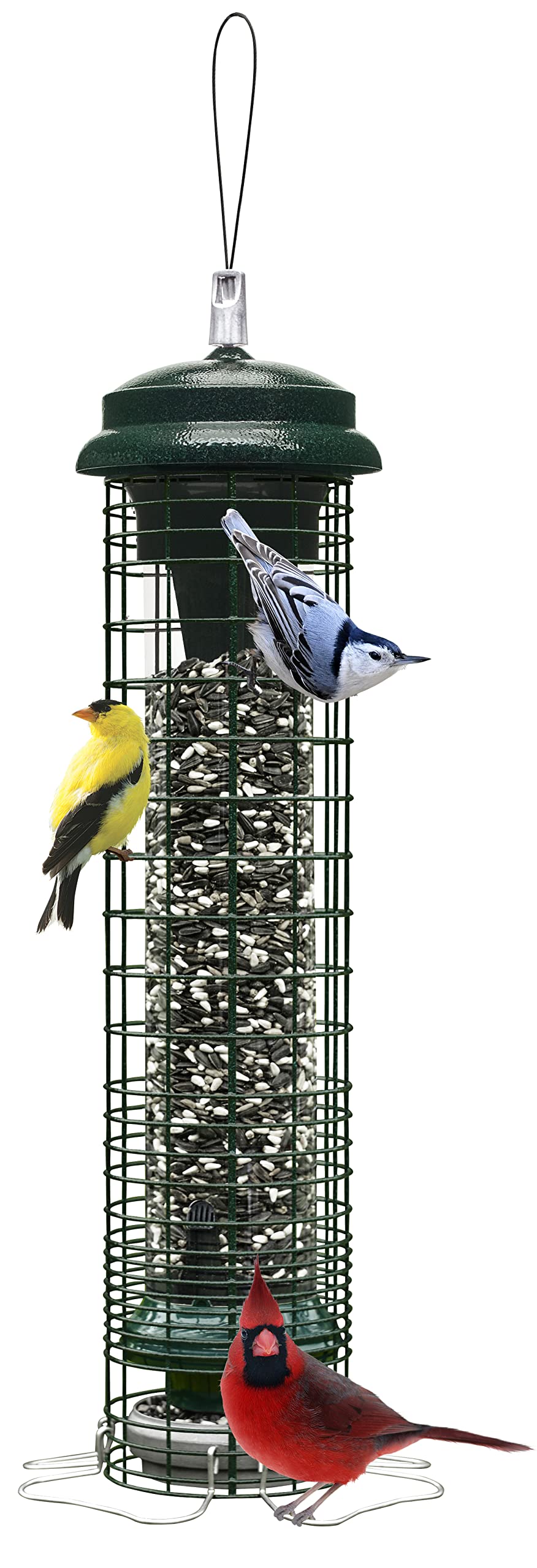 Brome Squirrel Solution 150 feeder exterior shows rugged chew-proof construction for durable year-round use.