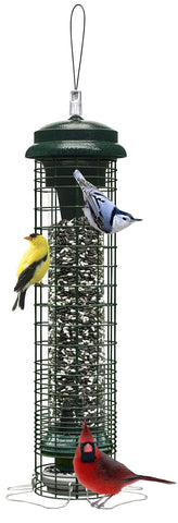 Brome Squirrel Solution 150 feeder exterior shows rugged chew-proof construction for durable year-round use.