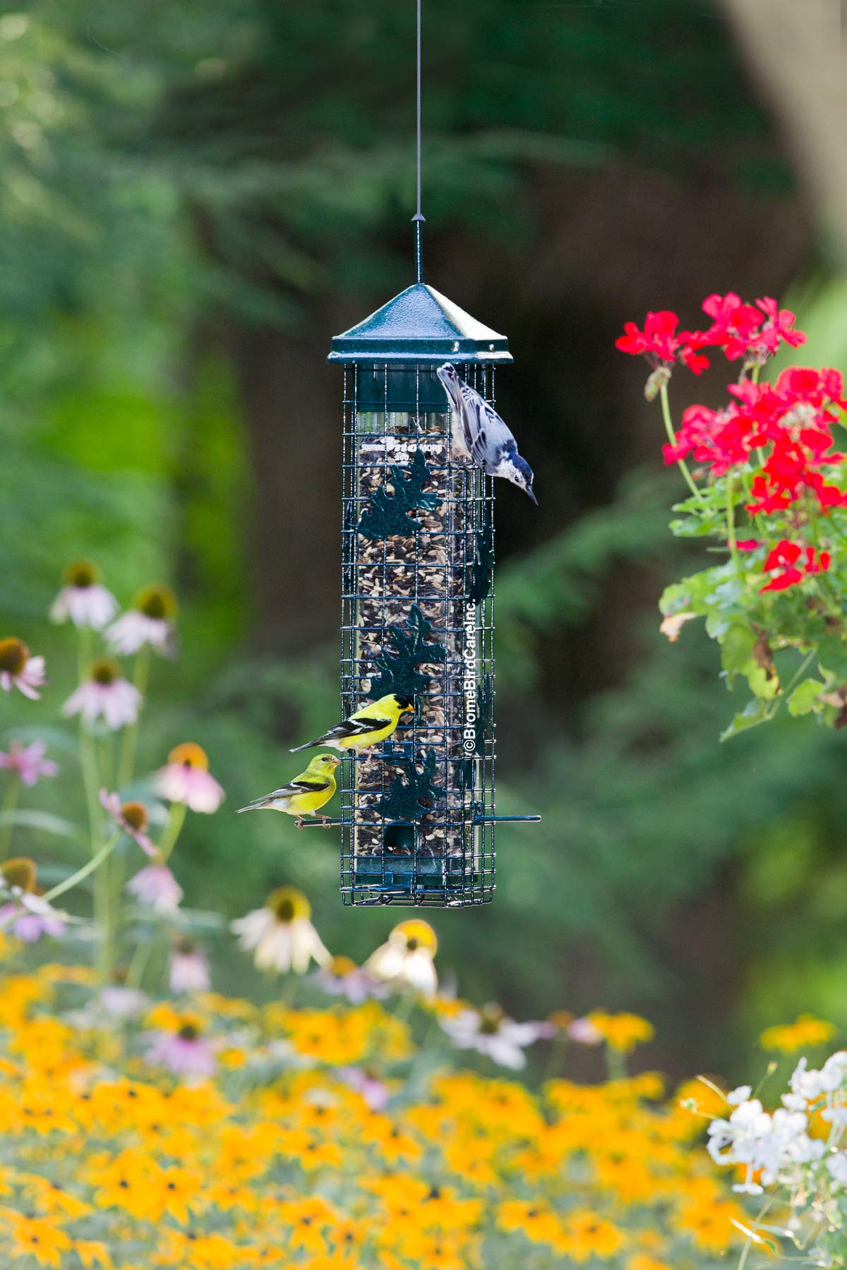 Brome Squirrel Solution200 chew-proof metal components for durability