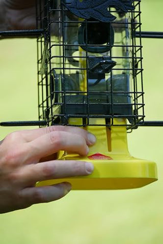 Brome Squirrel Solution200 includes a free seed funnel for easy refilling