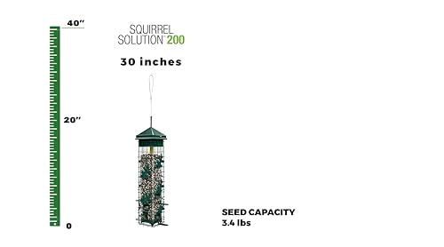 Brome Squirrel Solution200 close-up of feeding ports for multiple birds