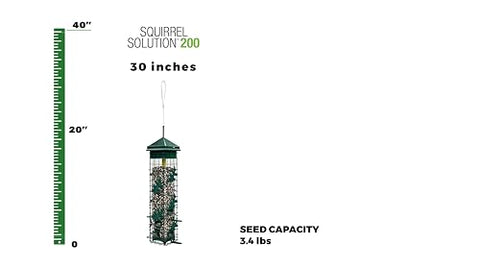 Brome Squirrel Solution200 close-up of feeding ports for multiple birds