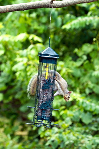 Brome Squirrel Solution200 UV-resistant components for outdoor longevity