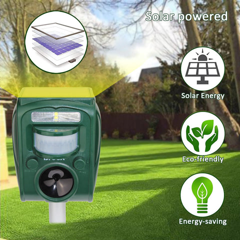 Broox LED flash helps scare intruders at dusk, supporting daytime deterrence.