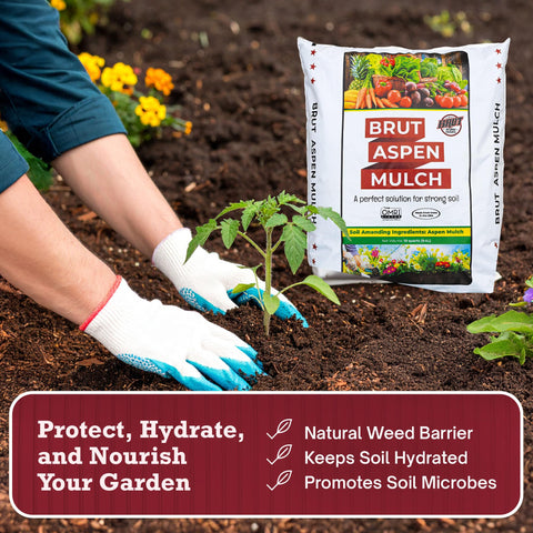 BRUT WORM FARMS Brut Organic Aspen Mulch weed suppression in garden beds.
