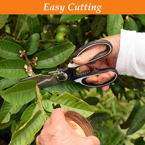 BSADIY plant scissors include built-in nutcracker and bottle opener for versatility