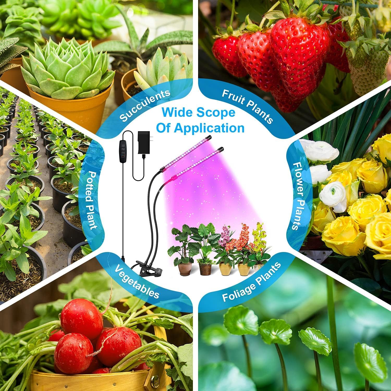 bseah Adjustable modes support blue, red, or mixed spectrum for different growth phases