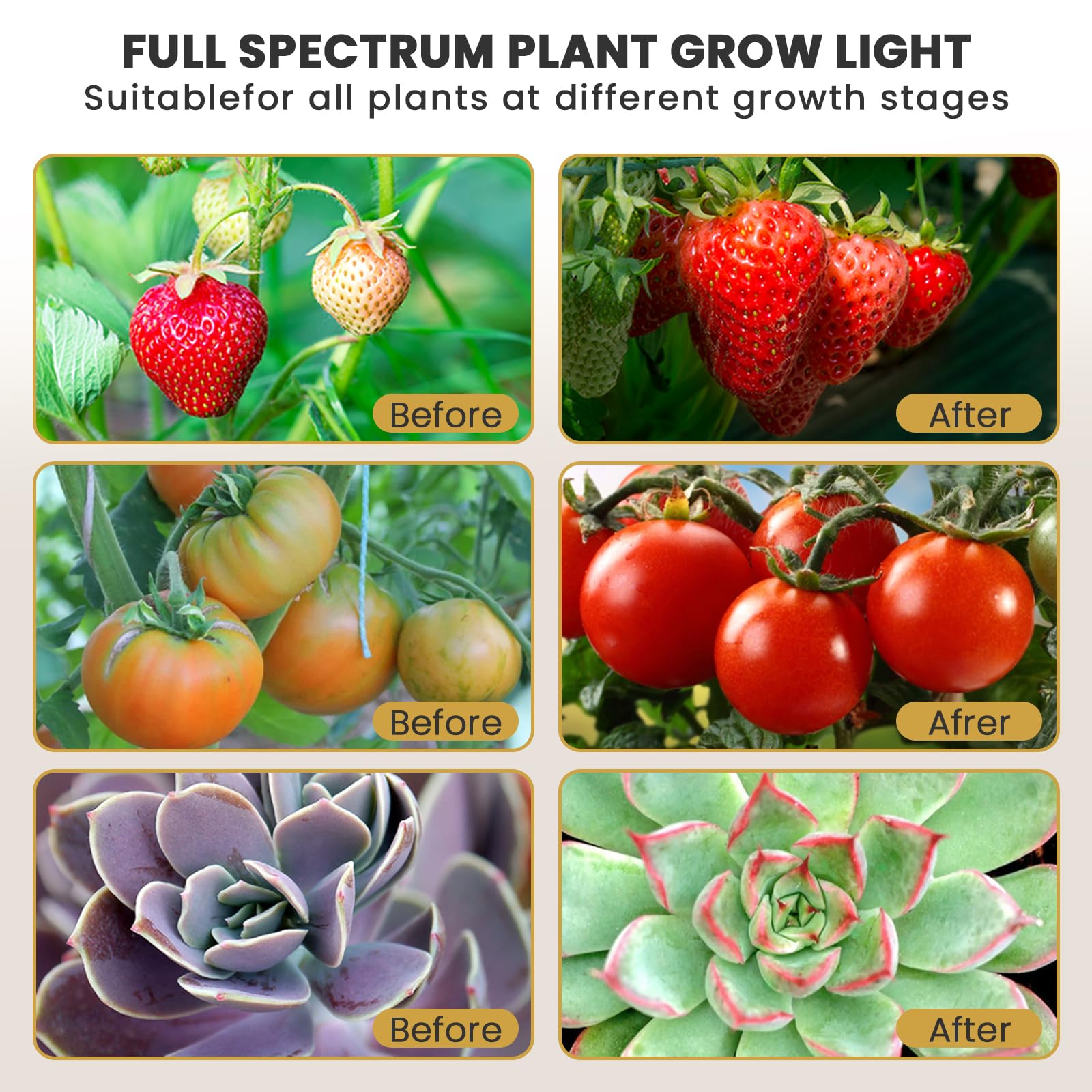 Bseah 120-degree beam angle covers wide indoor grow areas.