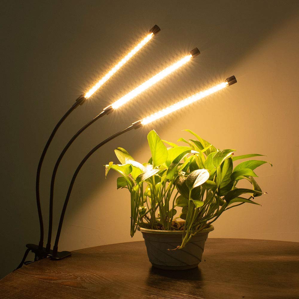 BSEAH grow light 120-degree beam providing wide area illumination for seedlings