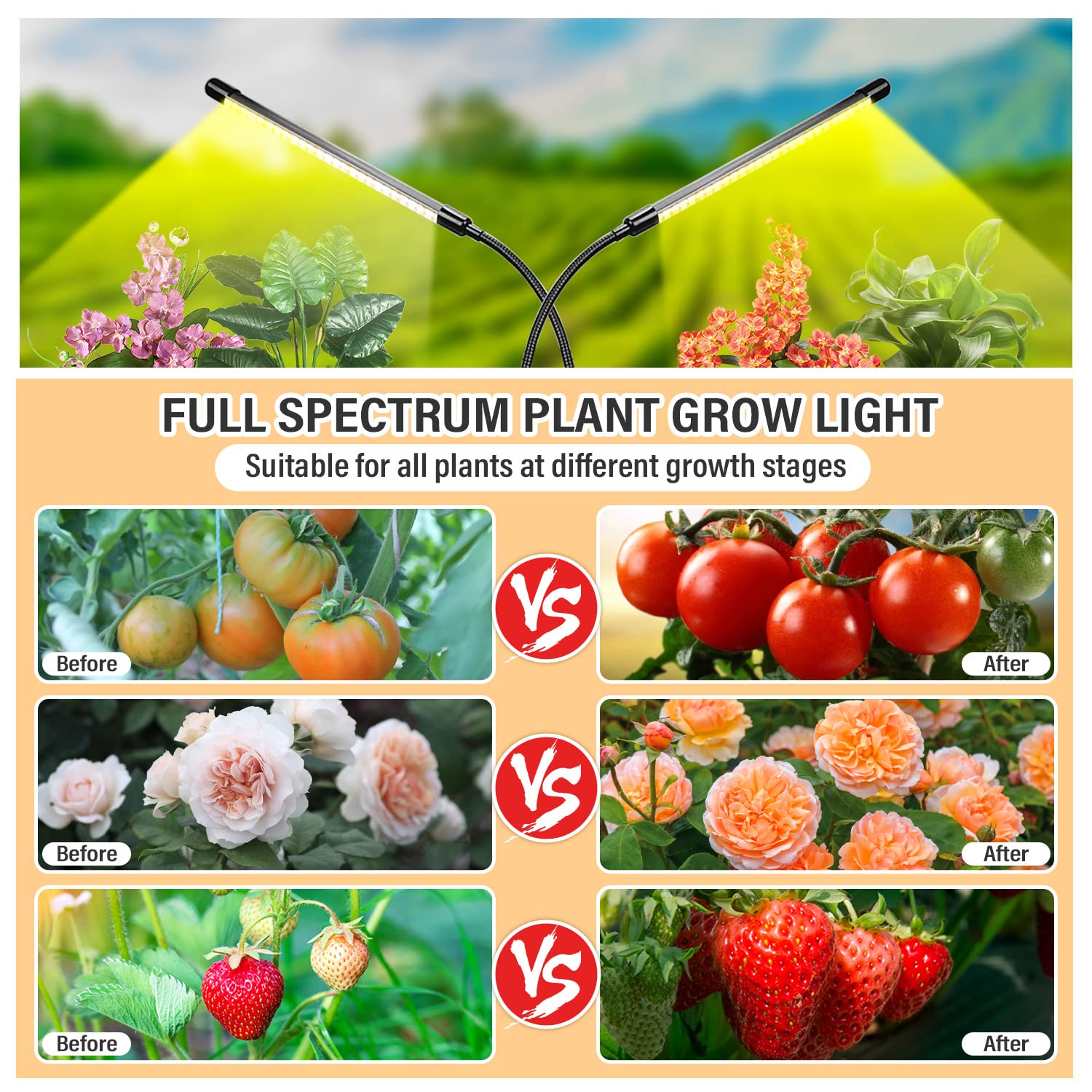 Bseah grow light auto timer ensures consistent daily cycles.