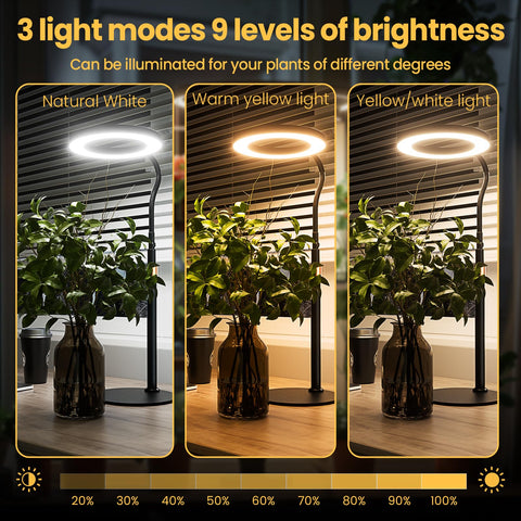 bseah Grow Light perched on a desk for convenient indoor gardening