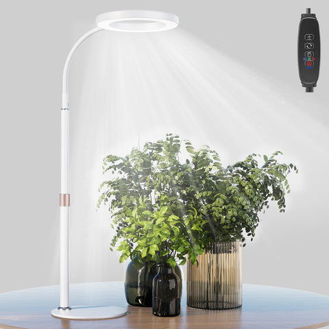 The bseah grow light full spectrum desk setup promotes healthy indoor plant growth.