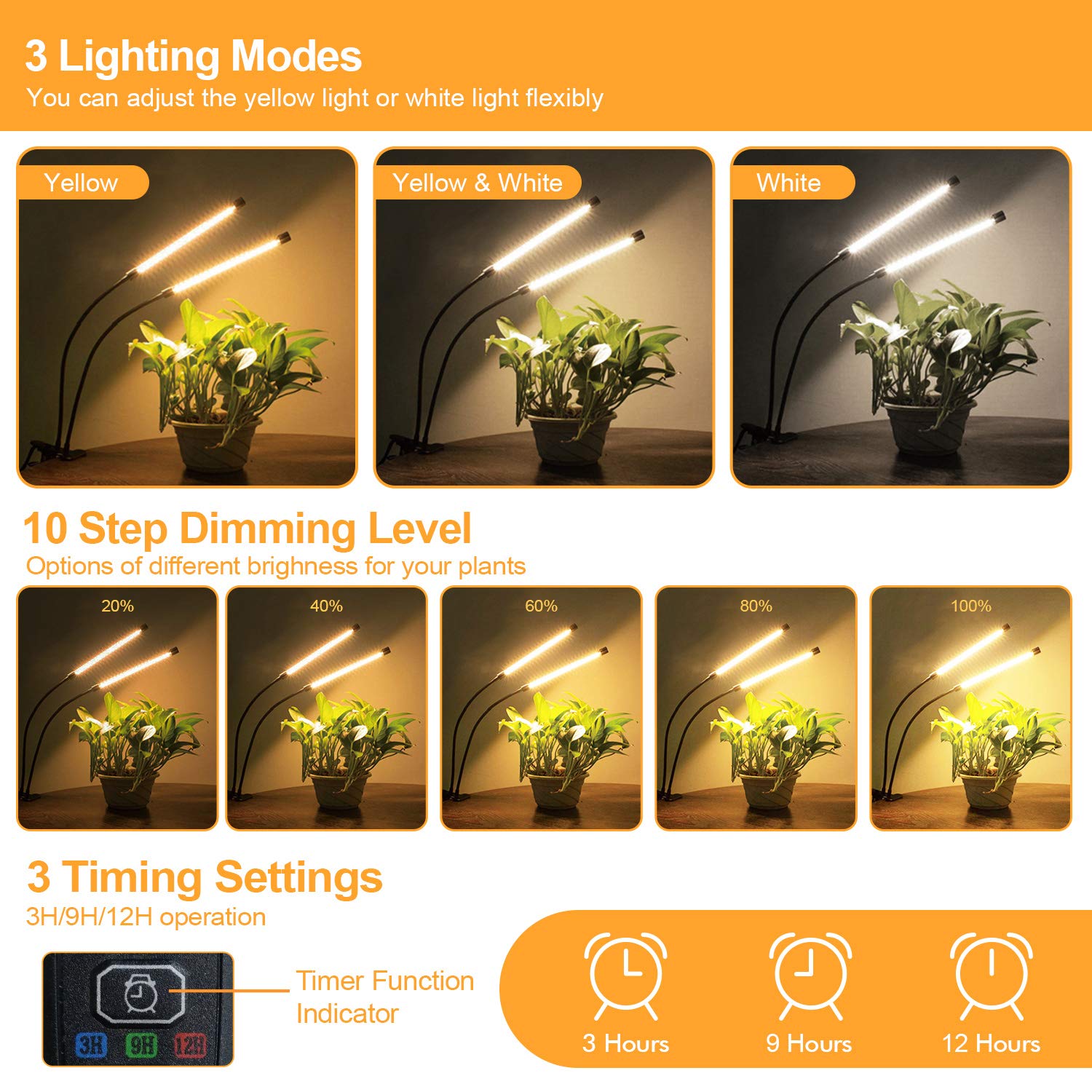 Bseah grow light installed in indoor garden boosts photosynthesis potential.