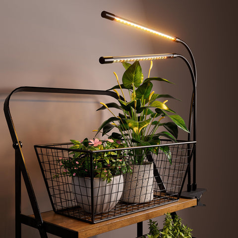 Bseah indoor plant setup with quiet operation and reliable light.