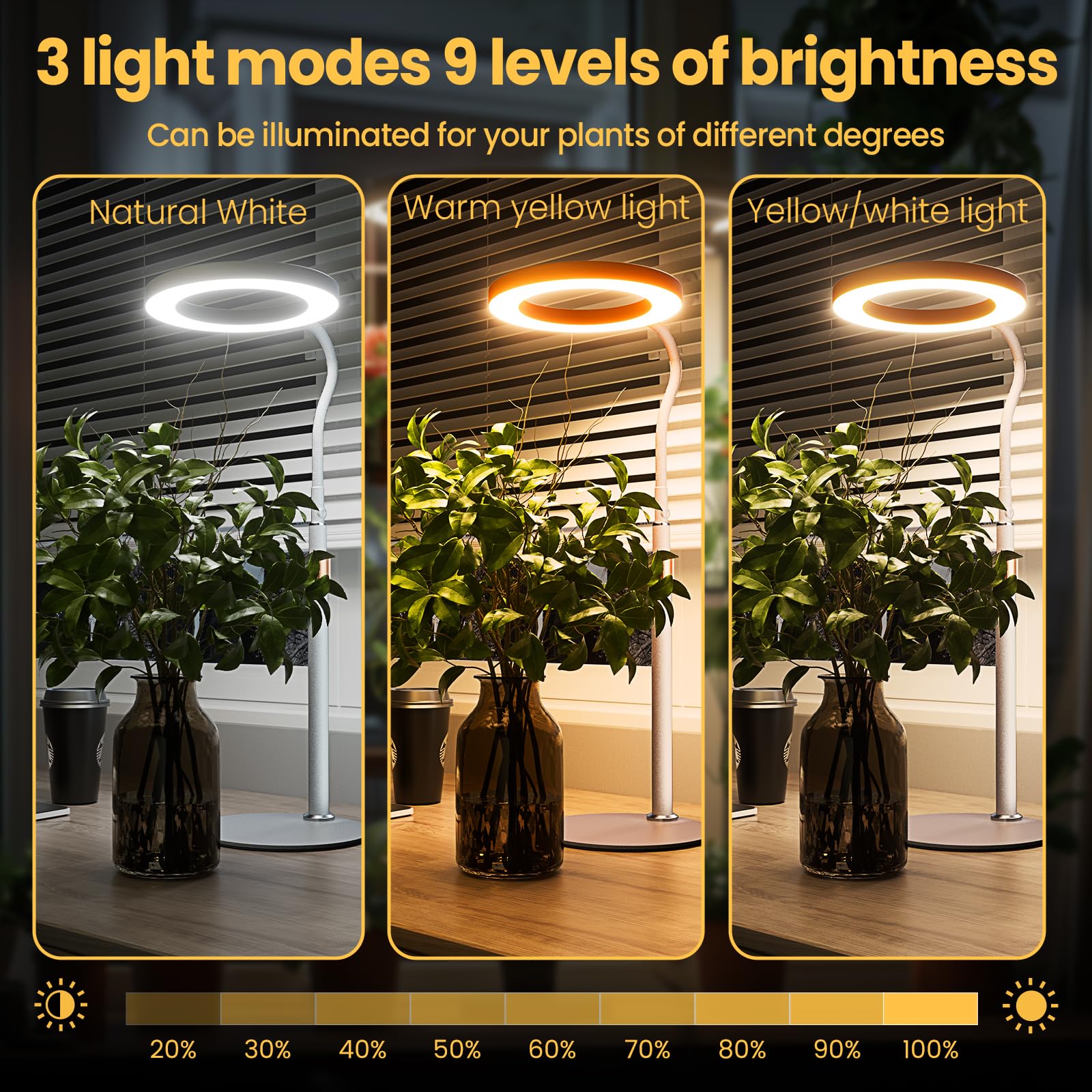 The bseah grow light indoor plants setup suits desk gardens.