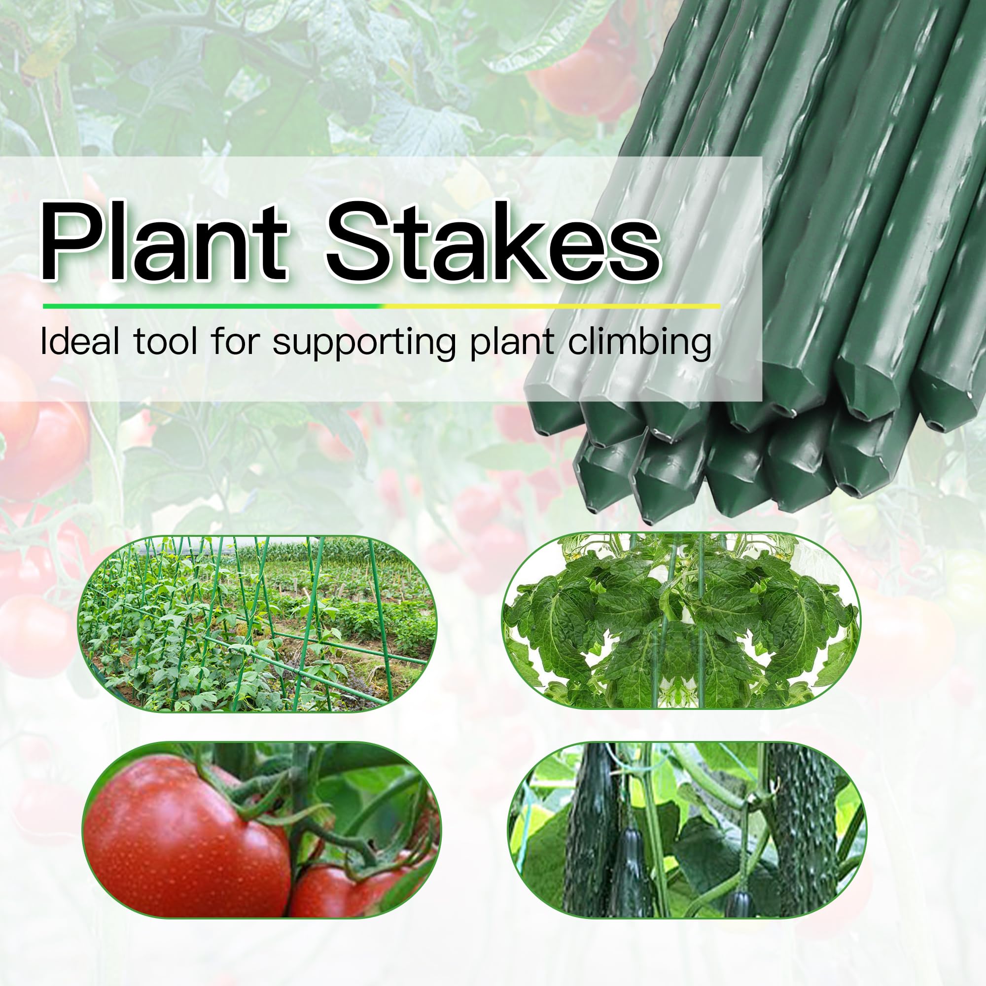 BSMOULFA cucumber and bean stake supports climbing vines 4ft tall.
