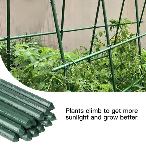 BSMOULFA versatile stake suitable for tomatoes, cucumbers, beans and flowering climbers.