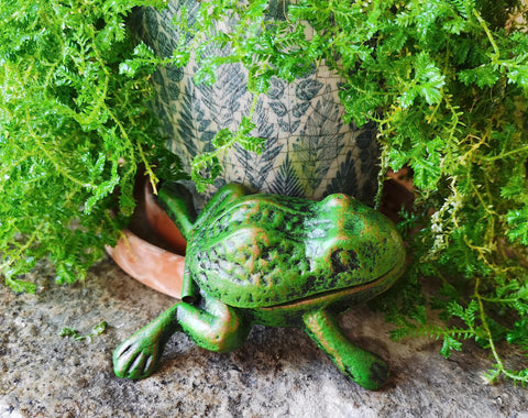 BSTGIFTS iron frog key hider offers small-item storage outdoors near entrances.