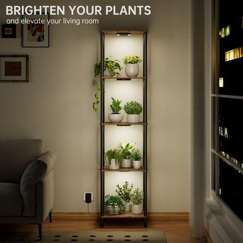 Bstrip five-tier plant shelf displaying multiple plants while saving floor space.