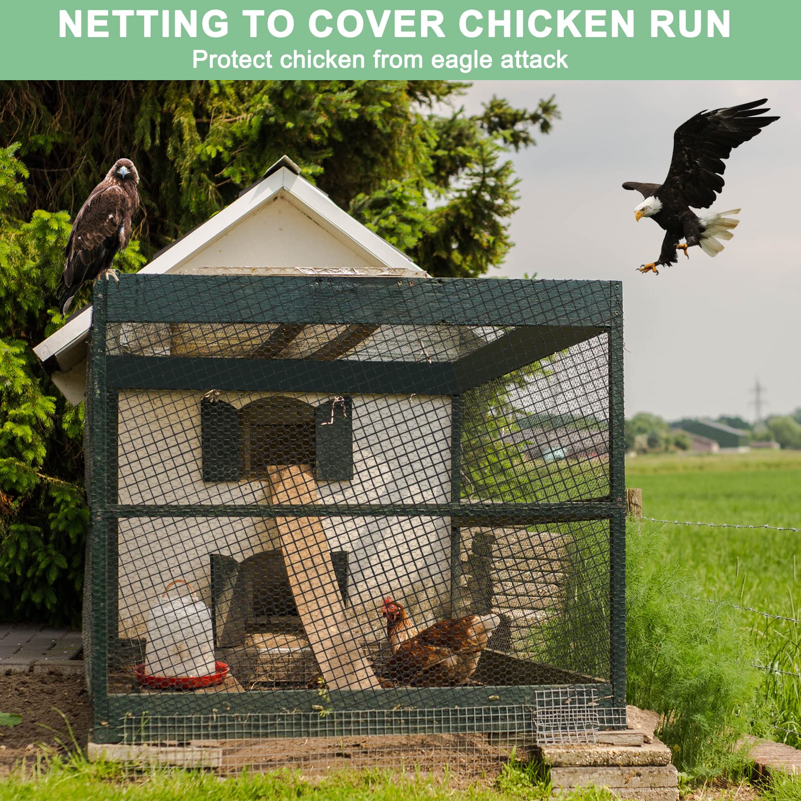 BSTPCOO fruit tree netting shields harvests from birds and small pests.
