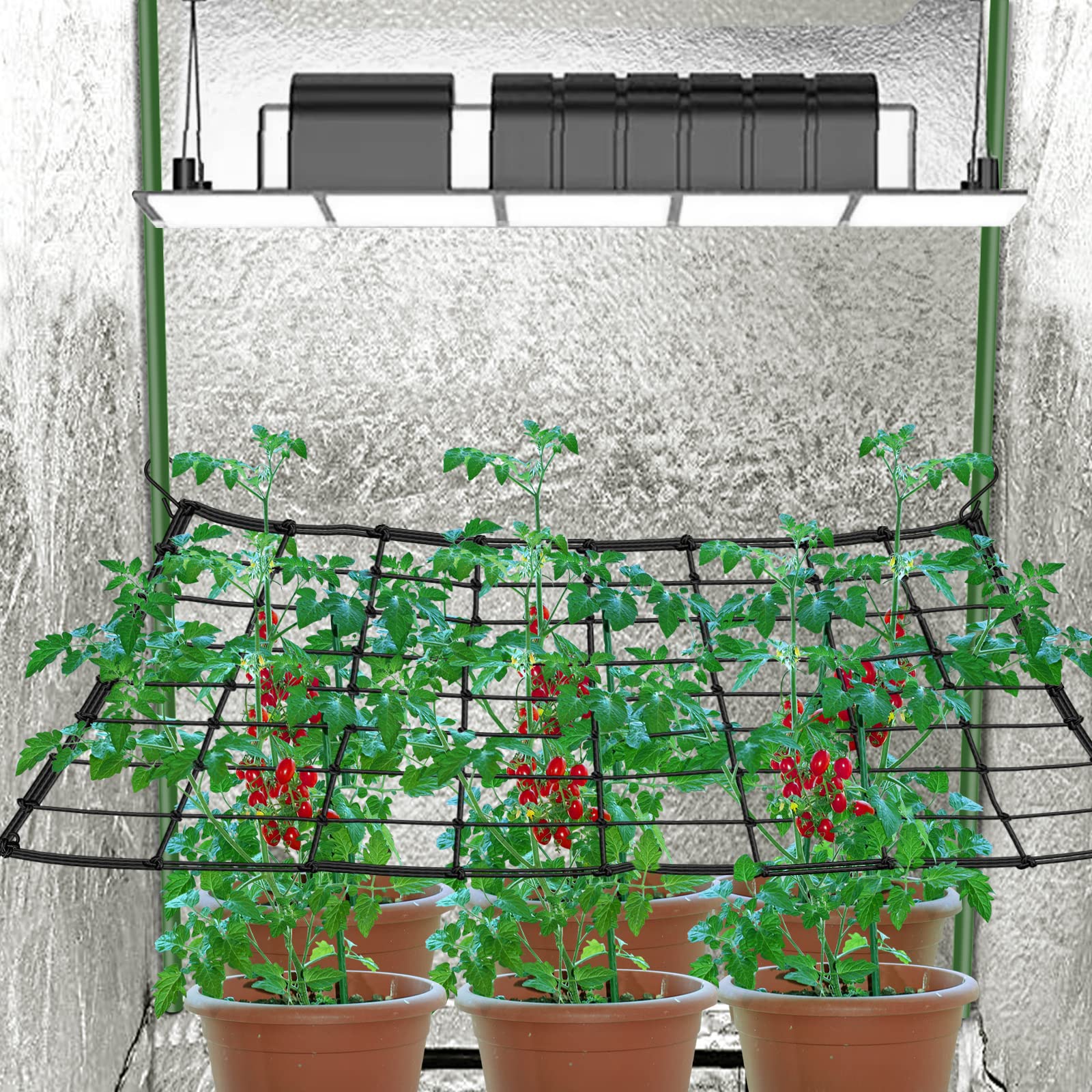 BSTPCOO heavy-duty elastic trellis provides durable plant support
