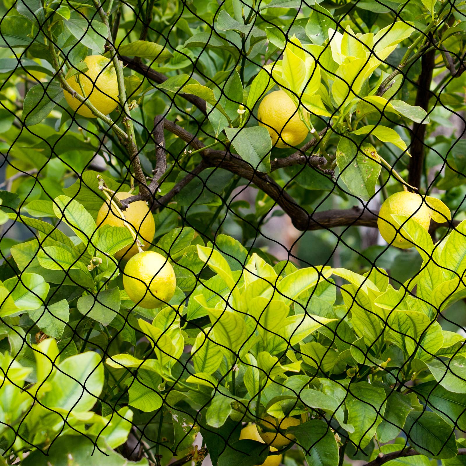 BSTPCOO nylon netting acts as a wildlife-friendly barrier for gardens