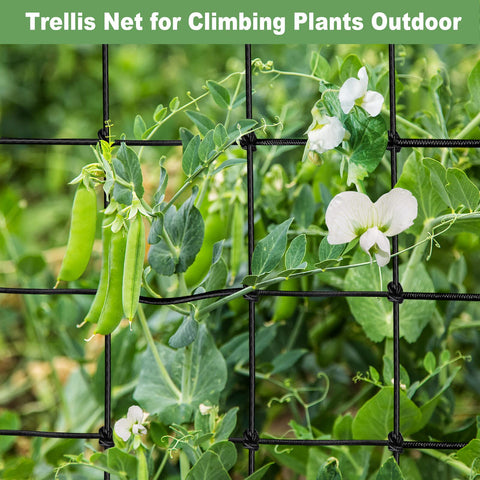 BSTPCOO 2x2 ft net suits space-limited setups and flexible plant arrangements