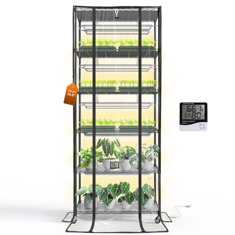 Bstrip indoor greenhouse frame ready for seed trays and starter plants