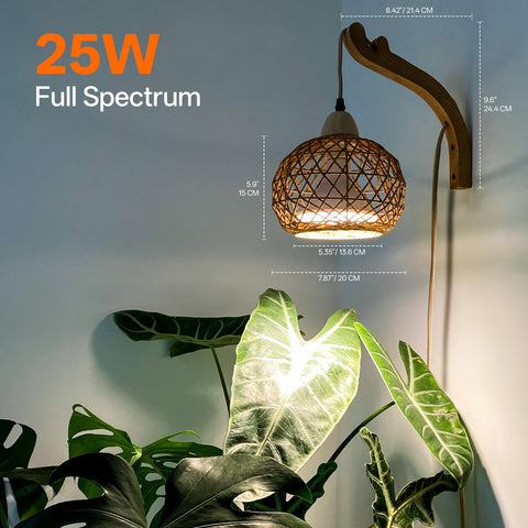 Bstrip 9.8 ft cord offers flexible placement in rooms.