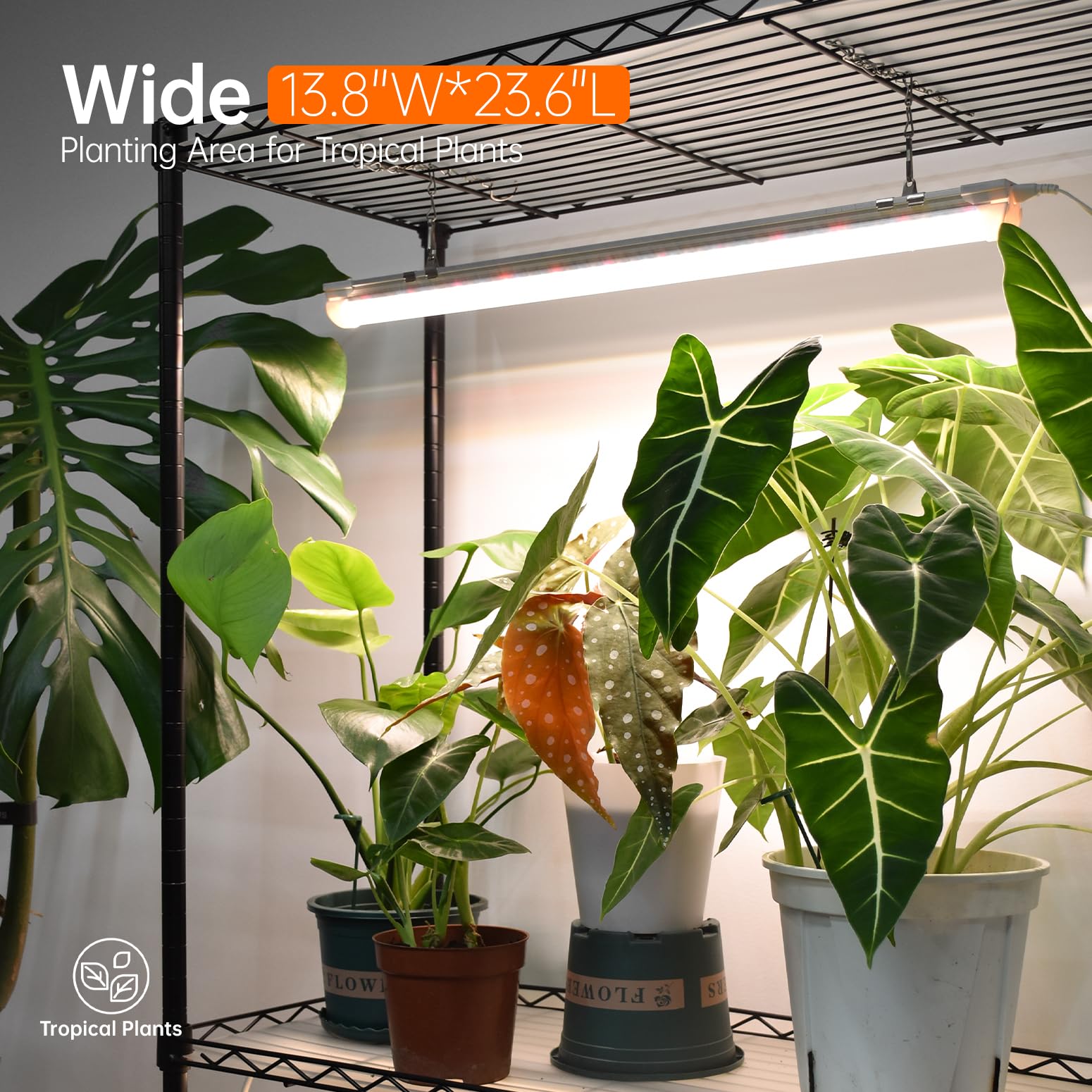 Bstrip adjustable shelves for plants adapt to seedling and small plant arrangements