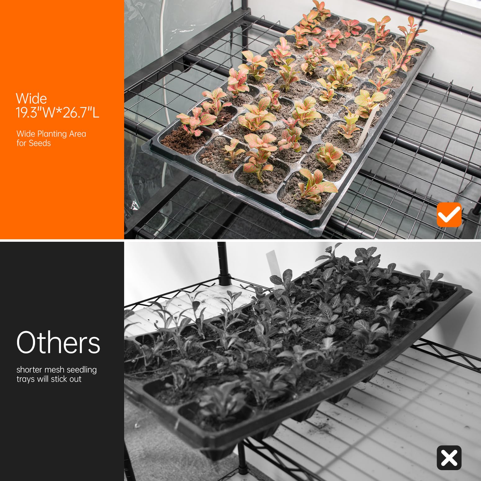Bstrip compact plant shelf design fits seed trays