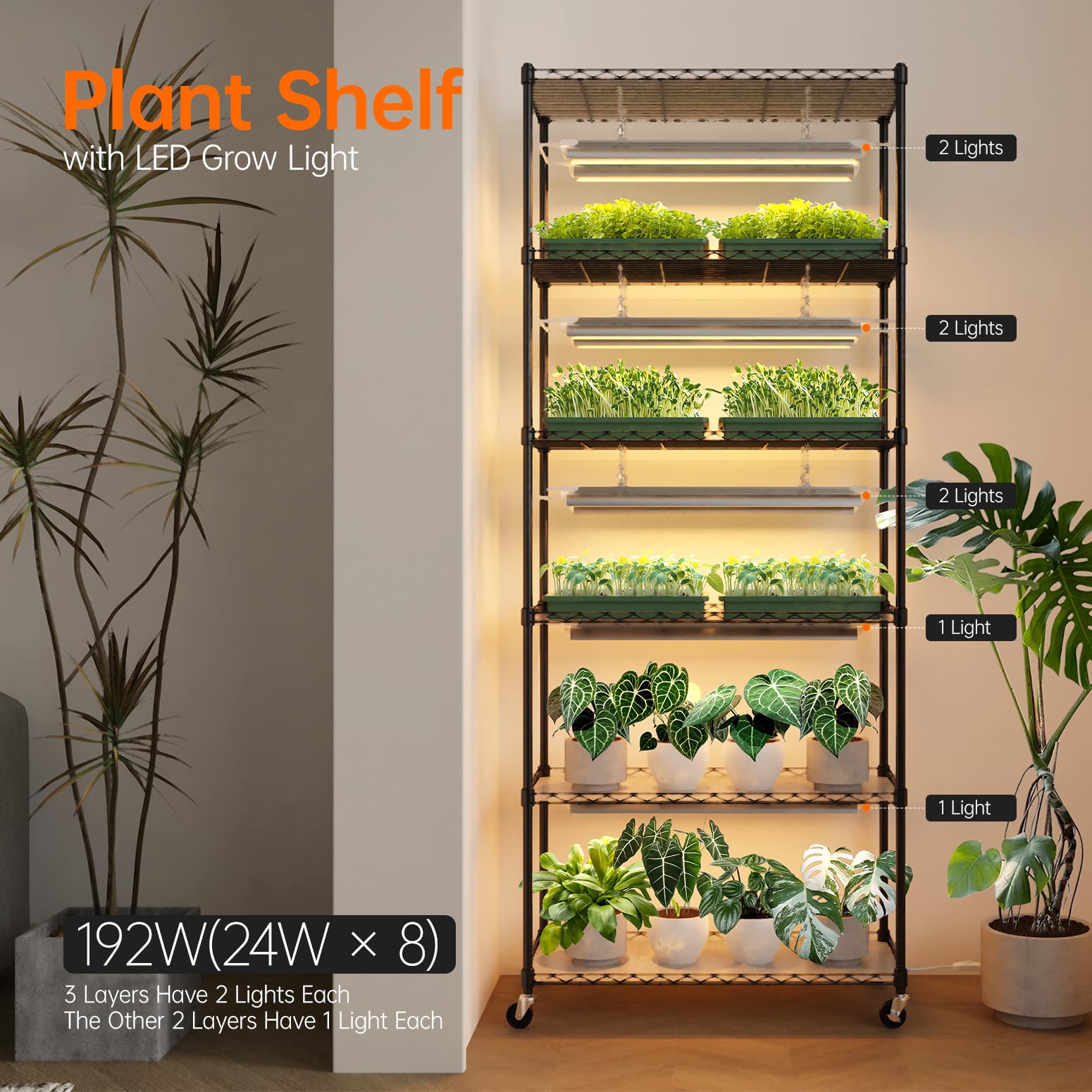 Bstrip DIY plant shelf adjustable rack height demonstrates customizable levels for diverse plants