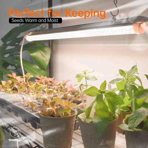 Bstrip double-zipper design for easy watering and access.