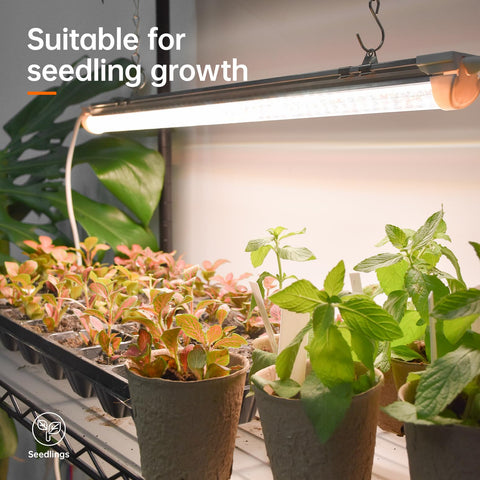 Bstrip five-tier metal shelves maximizing vertical planting space.