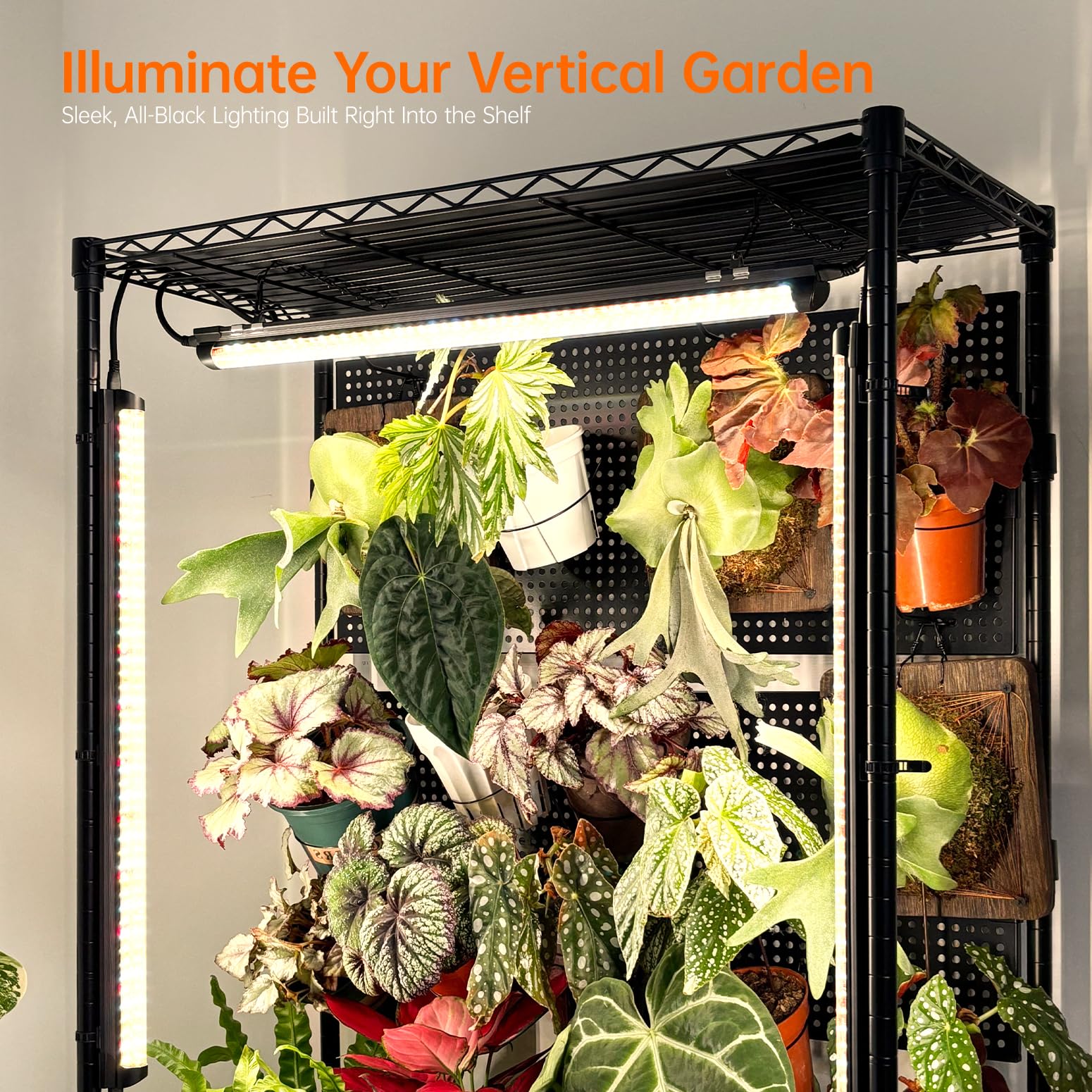 Bstrip four 96W grow lights provide bright indoor illumination for plants.