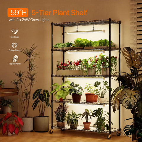 Bstrip full-spectrum grow light strip promoting healthy seedling growth.