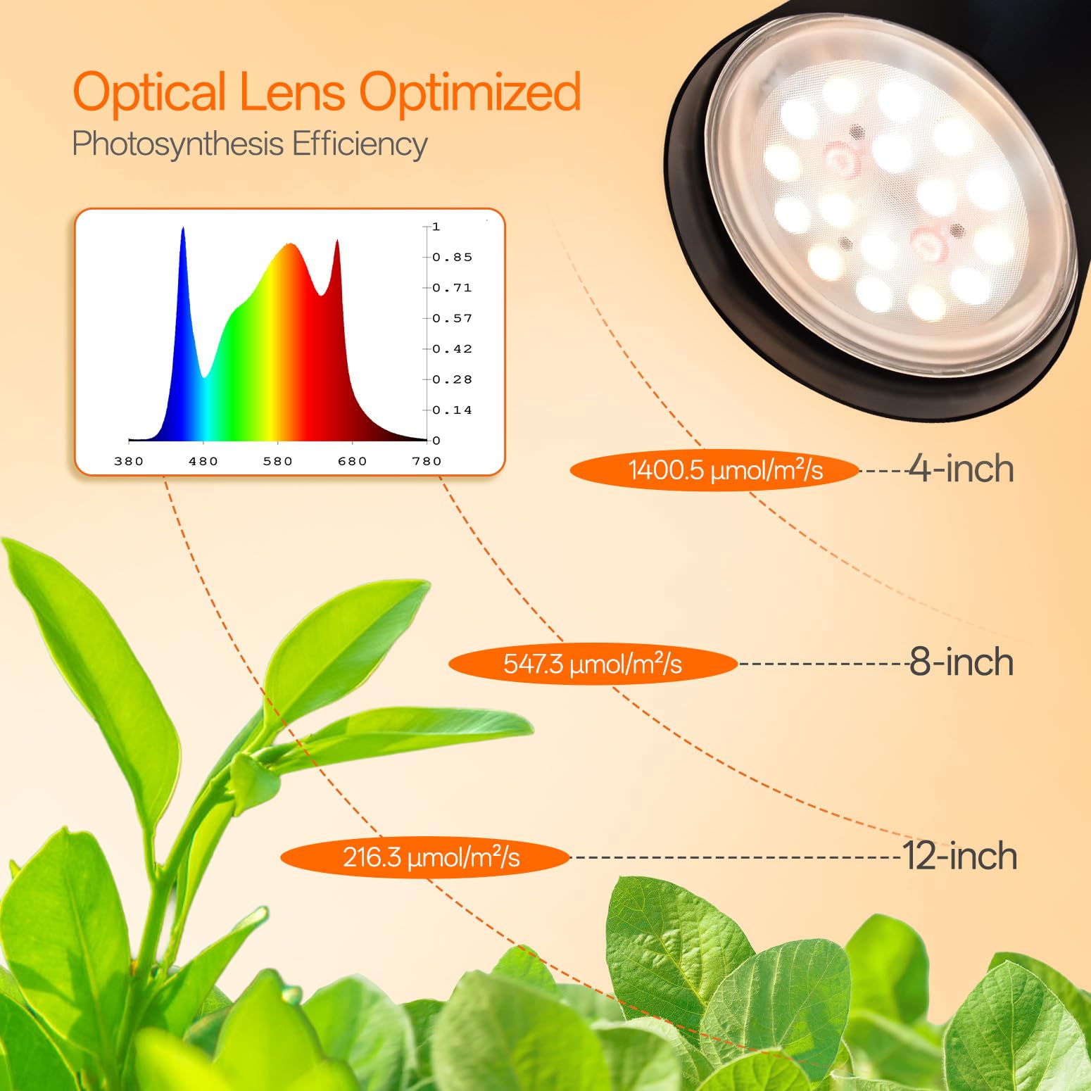 Bstrip Full spectrum plant light offers balanced wavelengths for all stages